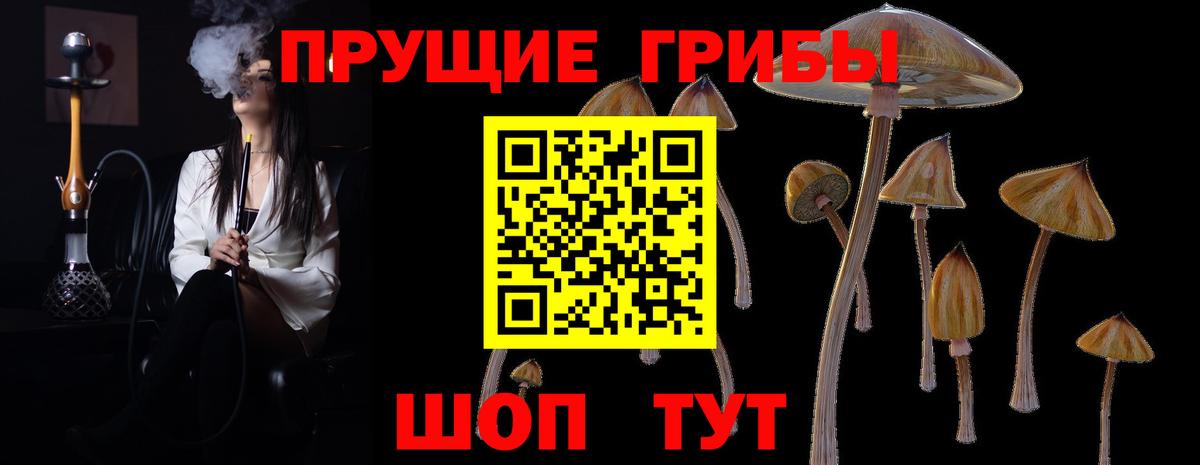 Галлюциногенные грибы ЛСД  Псилоцибиновые грибы мицелий  Вход с VPN  Урус-Мартан 