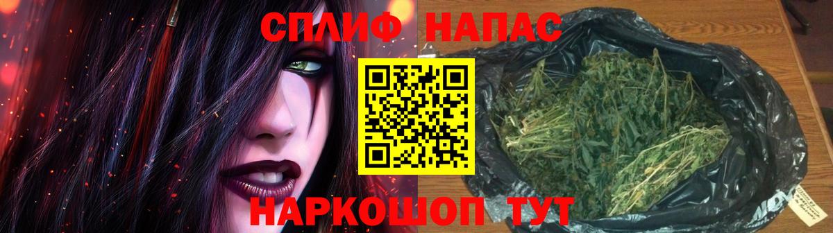 Бошки Шишки планчик Урус-Мартан